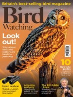 Bird Watching 